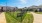 Dog Park